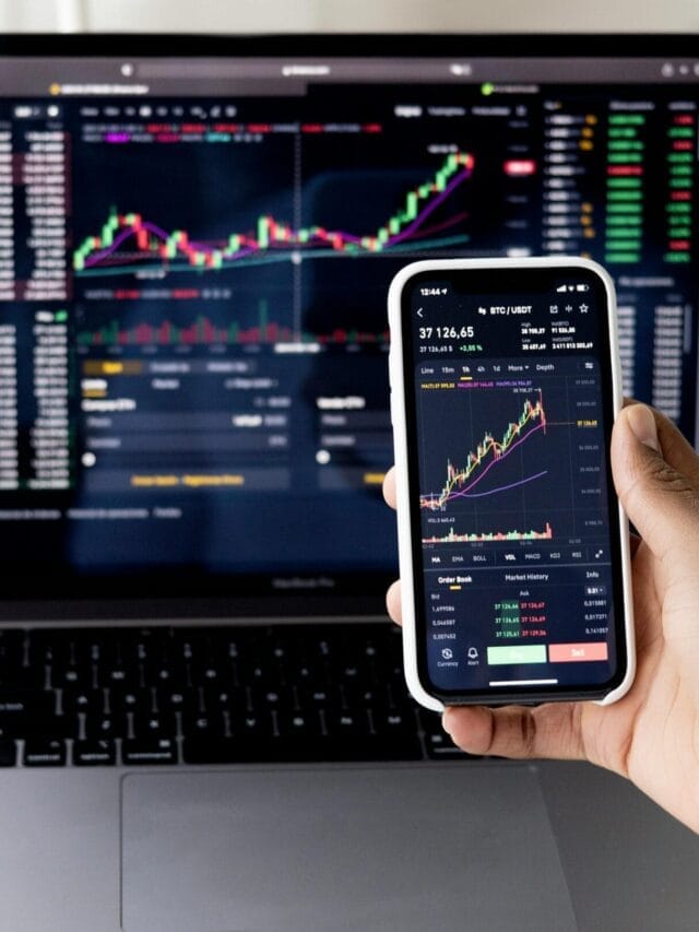 Long-Term Investment in the Stock Market: Wealth Creation